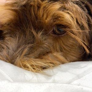 Meet your Posher, Elena